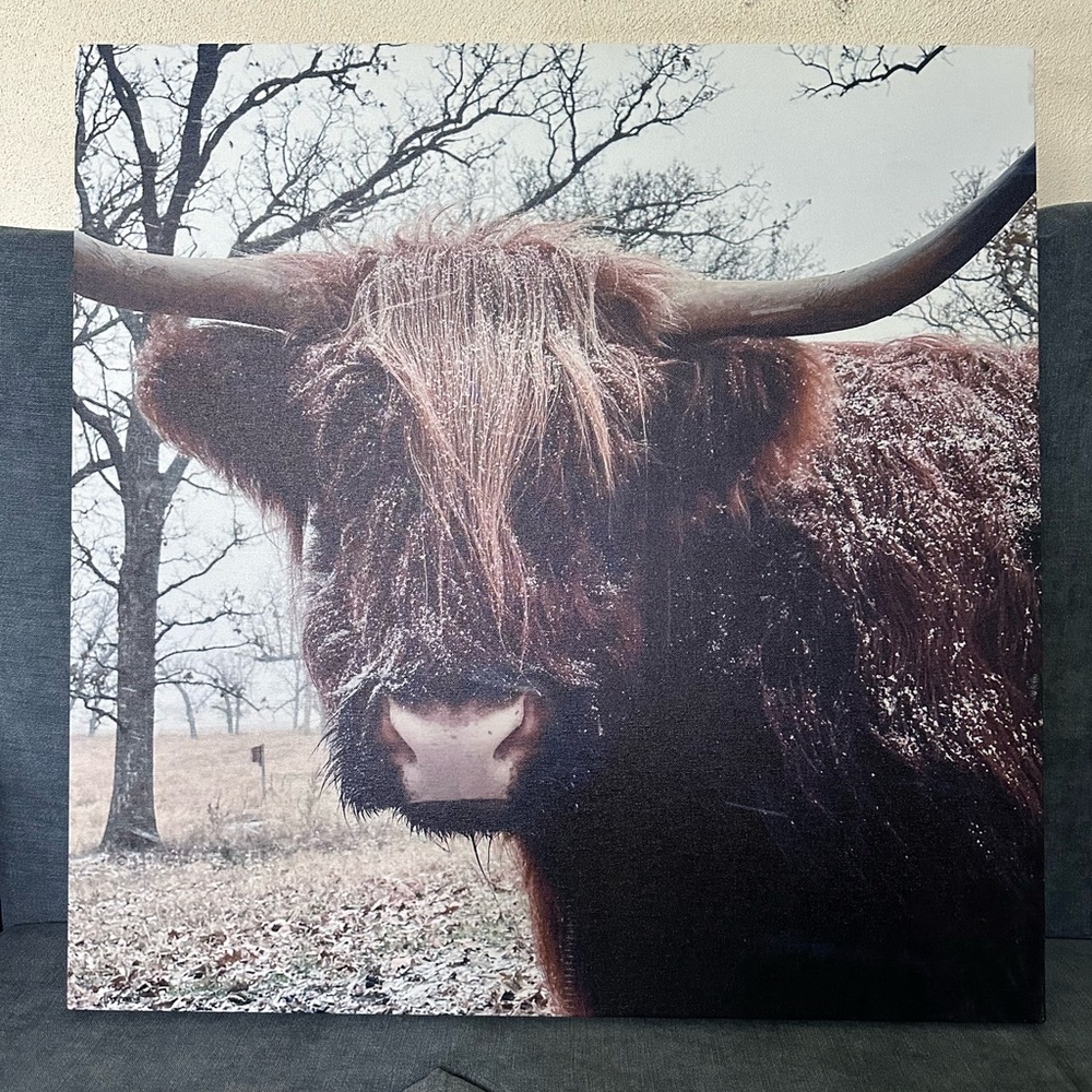 Scottish Highland Canvas